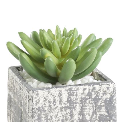 Eglo - Plante artificielle dans un pot de fleurs 12x7,5 cm succulent
