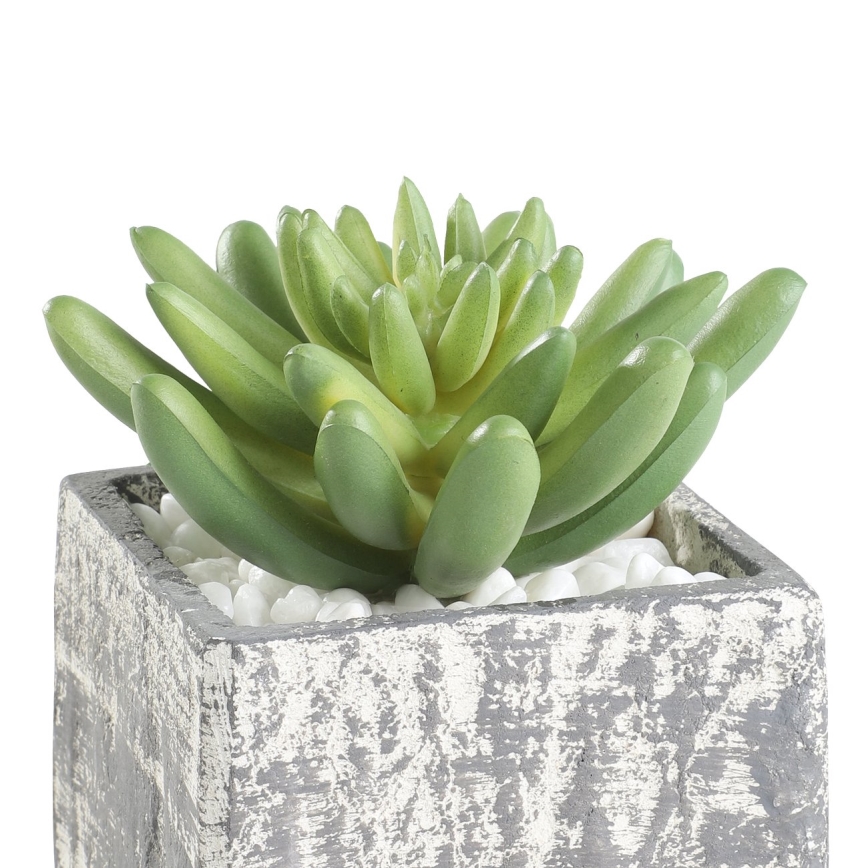 Eglo - Plante artificielle dans un pot de fleurs 12x7,5 cm succulent