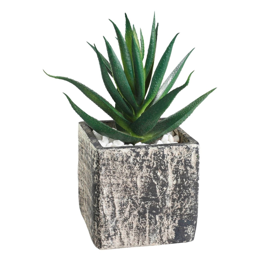 Eglo - Plante artificielle dans un pot de fleurs 13x9,5 cm succulent