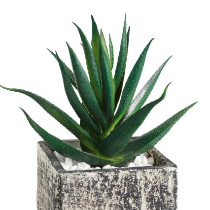 Eglo - Plante artificielle dans un pot de fleurs 13x9,5 cm succulent