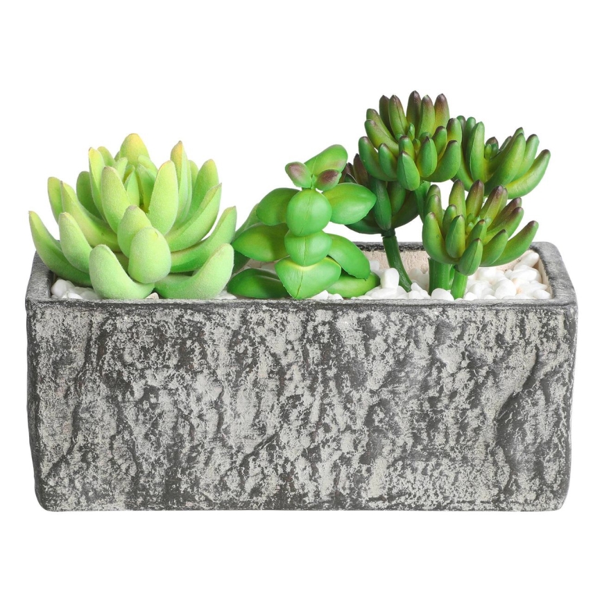 Eglo - Pianta artificiale in vaso da fiori 14,5x17,8 cm pianta grassa