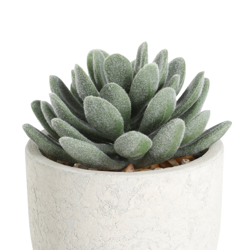 Eglo - Pianta artificiale in vaso da fiori 11x8 cm pianta grassa