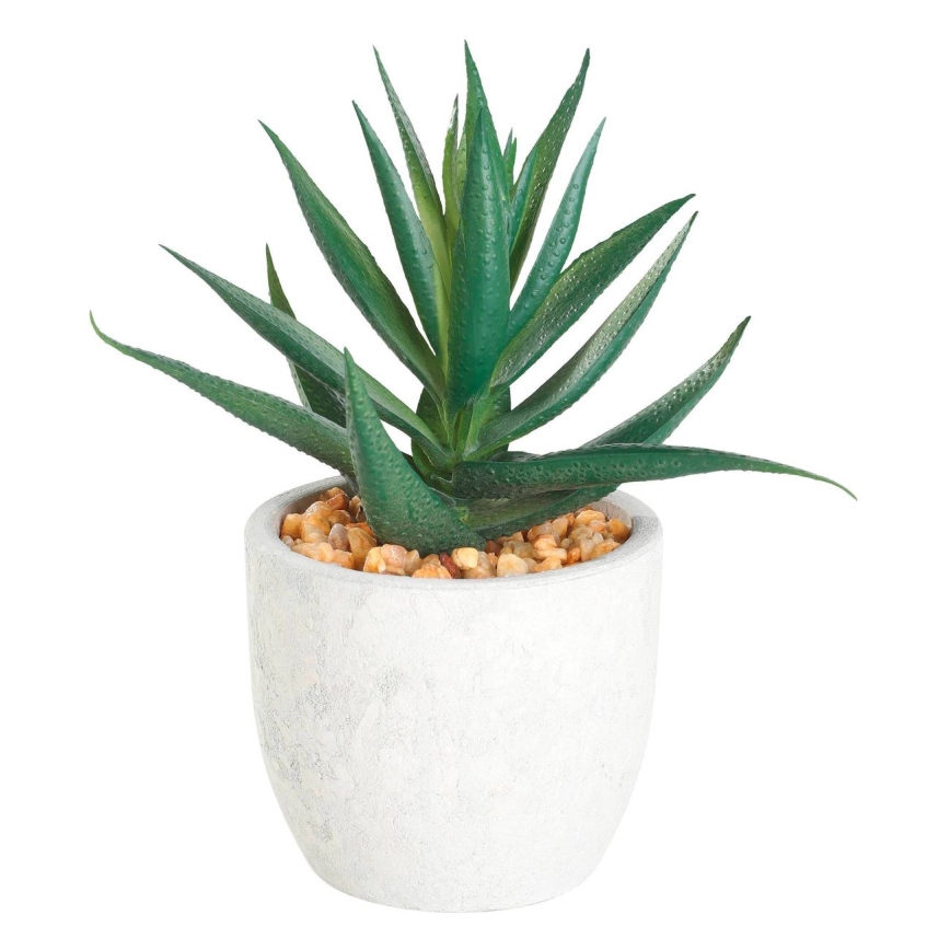 Eglo - Kunstpflanze im Blumentopf 15,5x10 cm Sukkulente