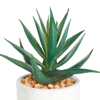 Eglo - Kunstpflanze im Blumentopf 15,5x10 cm Sukkulente