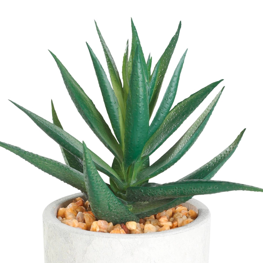 Eglo - Kunstpflanze im Blumentopf 15,5x10 cm Sukkulente