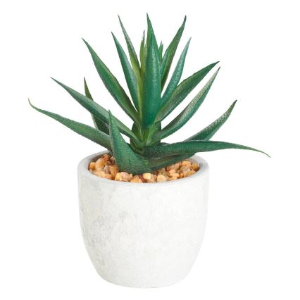 Eglo - Pianta artificiale in vaso da fiori 15,5x10 cm pianta grassa