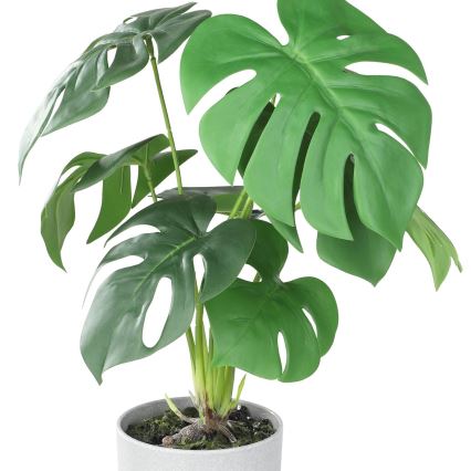 Eglo - Pianta artificiale in vaso da fiori 42x30 cm monstera