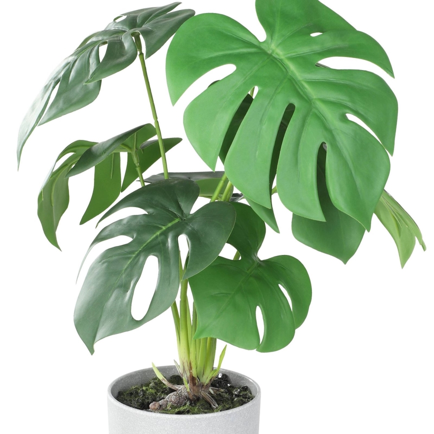 Eglo - Pianta artificiale in vaso da fiori 42x30 cm monstera