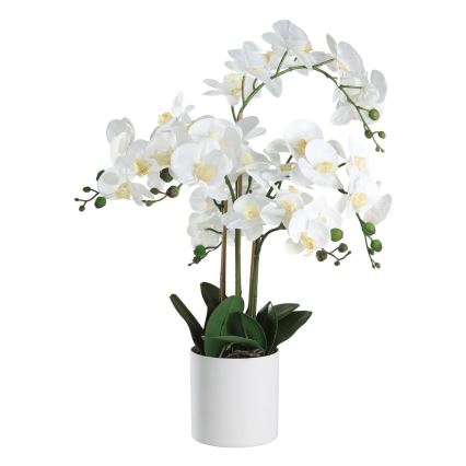 Eglo - Pianta artificiale in vaso 65x50 cm orchidea
