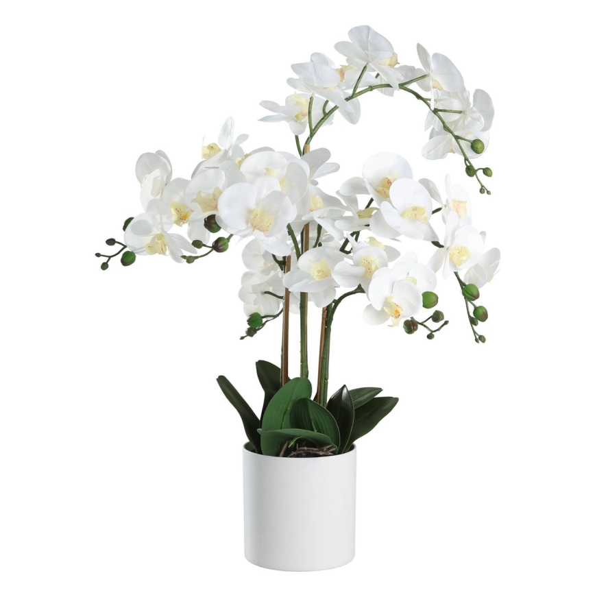 Eglo - Pianta artificiale in vaso 65x50 cm orchidea