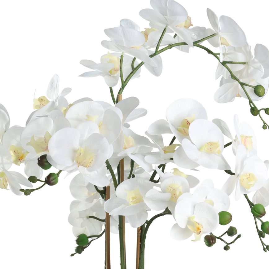 Eglo - Pianta artificiale in vaso 65x50 cm orchidea