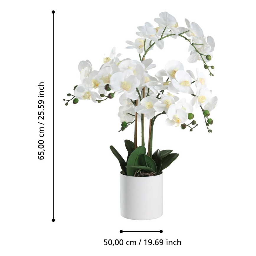 Eglo - Pianta artificiale in vaso 65x50 cm orchidea