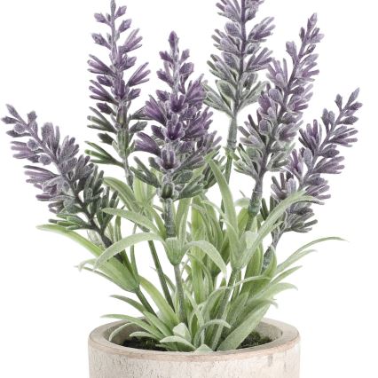 Eglo - Pianta artificiale in vaso da fiori 22x8 cm lavanda