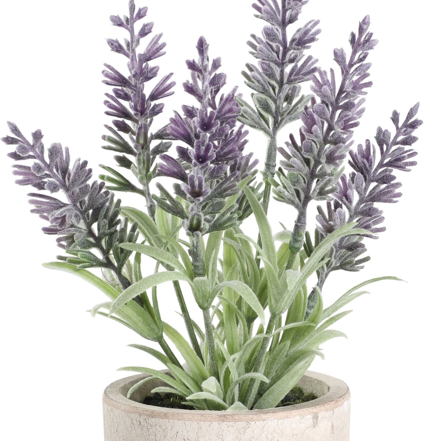 Eglo - Pianta artificiale in vaso da fiori 22x8 cm lavanda