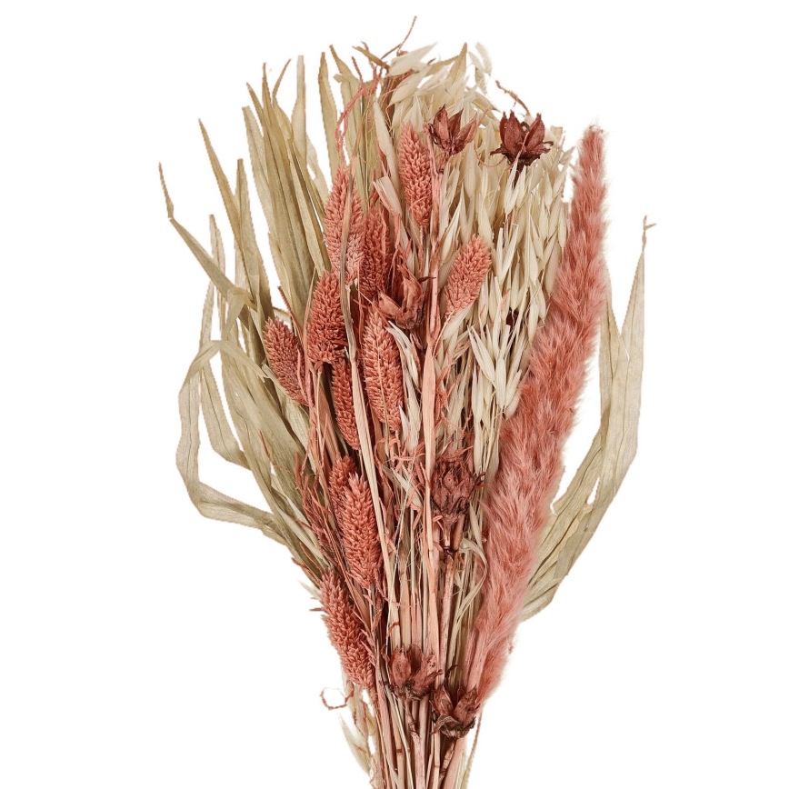 Eglo - Fiore essiccato 60 cm arancione