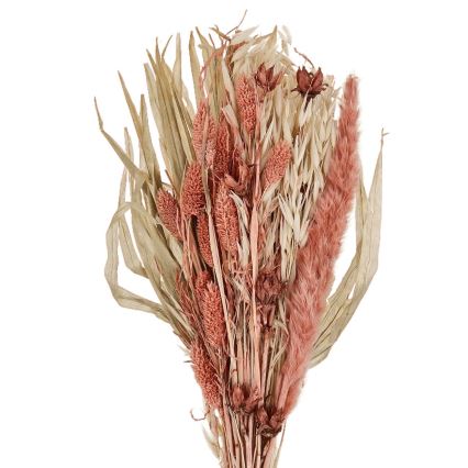 Eglo - Getrocknete Blume 60 cm orange