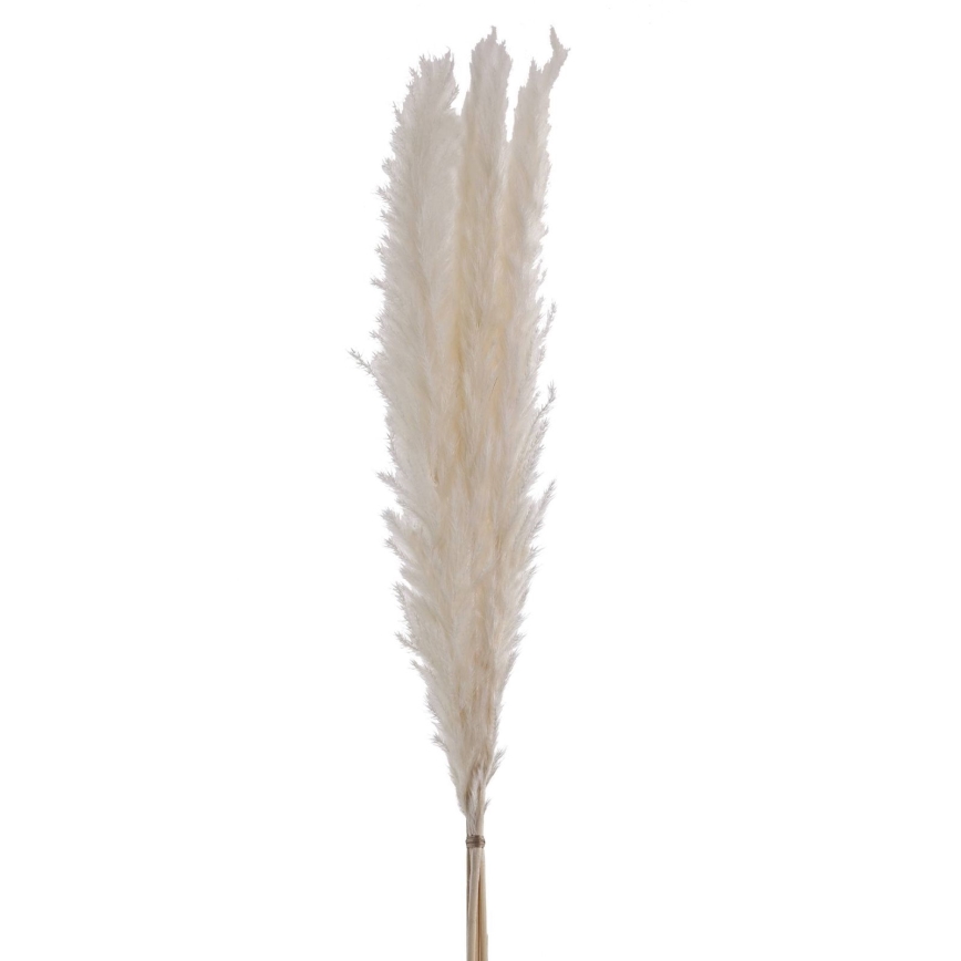 Eglo - Fiore essiccato 70 cm bianco