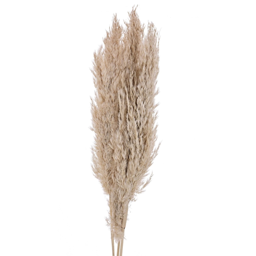 Eglo - Getrocknete Blume 85 cm beige