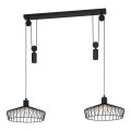 Eglo 43438 - Suspension WINKWORTH sur câble 2xE27/40W/230V