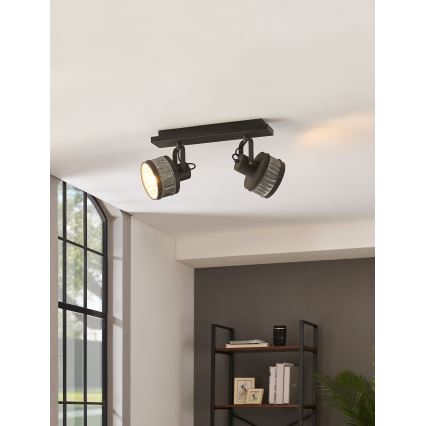 Eglo 43445 - Spotleuchte TURROCK 2xE27/28W/230V