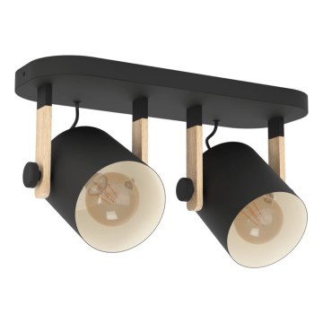 Eglo 43557 - Faretto HORNWOOD 2xE27/28W/230V nero