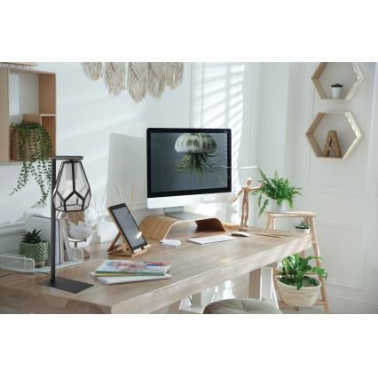 Eglo - Lampe de table 1xE27/40W/230V