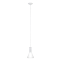 Eglo 62264 - Sospensione a cavo PASCOA PRO 1xE27/60W/230V 16,8 cm bianca