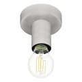 Eglo 64106 - Plafoniera IGUALA 1xE27/40W/230V grigio