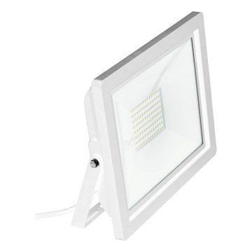 Eglo 64859 - Riflettore LED FILETTI LED/10W/230V 4000K IP65 bianco