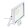 Eglo 64886 - Riflettore LED con sensore FILETTI LED/50W/230V 4000K IP44 bianco