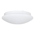 Eglo 68317 - Badezimmer-Deckenleuchte ELLA PROJEKT 1xE27/20W/230V IP44 Ø 30 cm