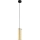 Eglo 79342 - Lampadario a sospensione con filo PINTO GOLD 1xE27/40W/230V oro