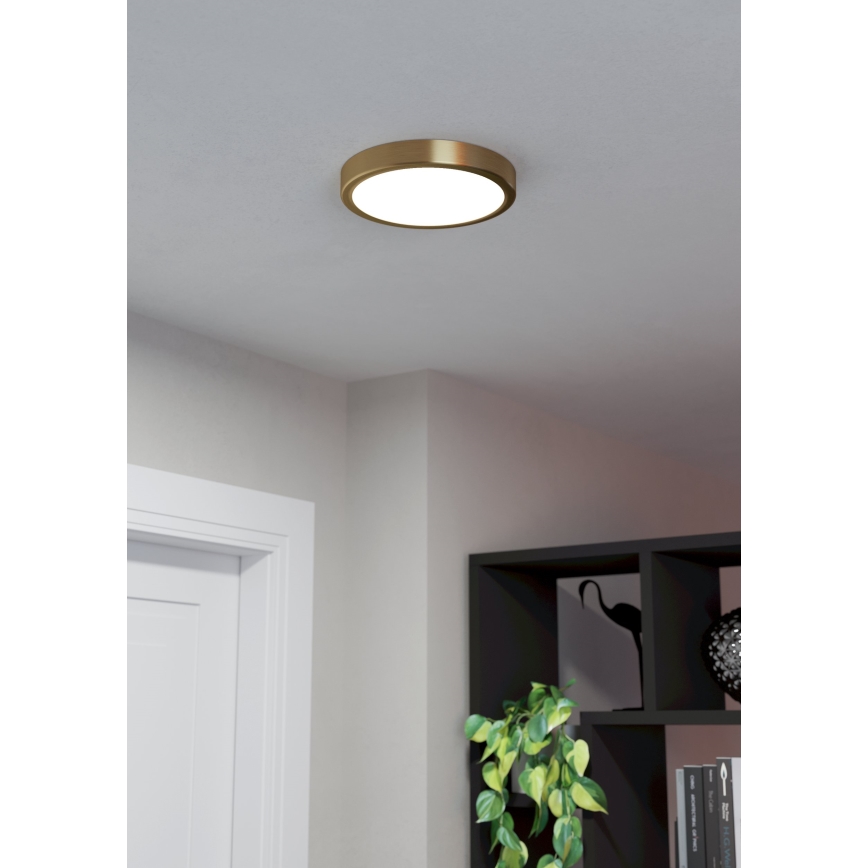 Eglo - Plafoniera LED, 17W, 230V, diametro 21 cm