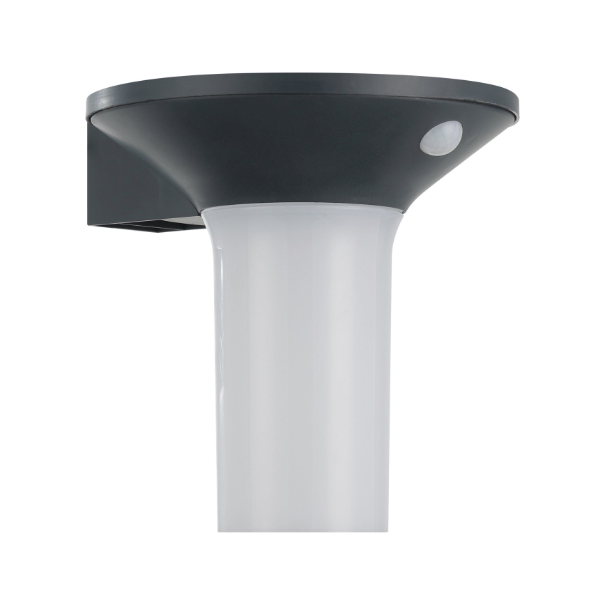 Eglo - Luminaire solaire d'extérieur LED avec détecteur 6xLED/0,03W/3,7V IP44