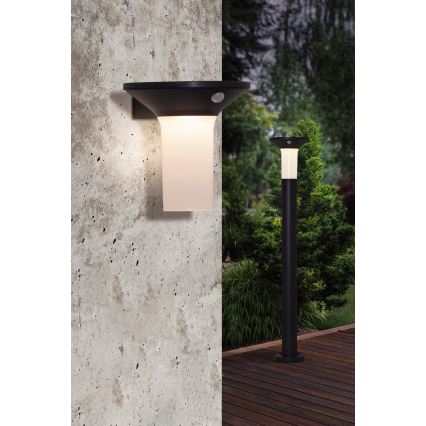Eglo - Luminaire solaire d'extérieur LED avec détecteur 6xLED/0,03W/3,7V IP44