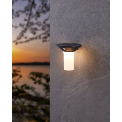 Eglo - Luminaire solaire d'extérieur LED avec détecteur 6xLED/0,03W/3,7V IP44