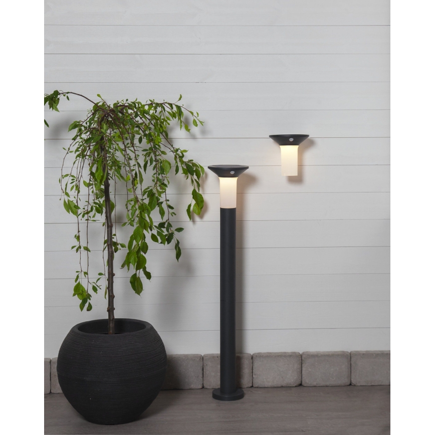 Eglo - Luminaire solaire d'extérieur LED avec détecteur 6xLED/0,03W/3,7V IP44