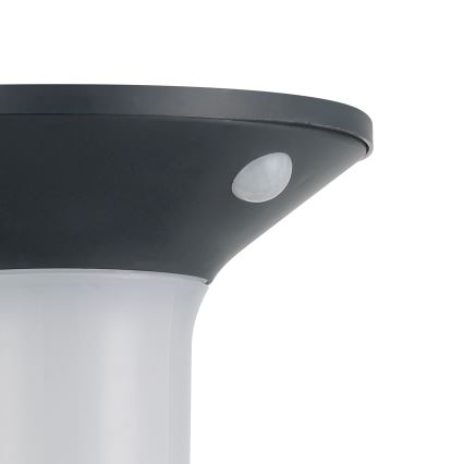 Eglo - Luminaire solaire d'extérieur LED avec détecteur 6xLED/0,03W/3,7V IP44