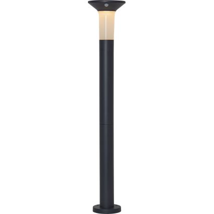 Eglo - Lampada solare da esterno a LED con sensore 6xLED/0,03W/3,7V IP44