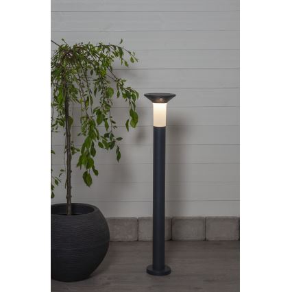 Eglo - Lampada solare da esterno a LED con sensore 6xLED/0,03W/3,7V IP44