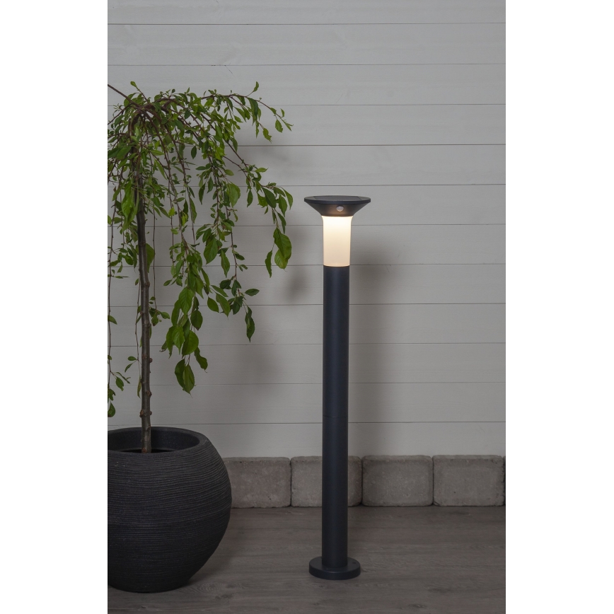 Eglo - Lampada solare da esterno a LED con sensore 6xLED/0,03W/3,7V IP44