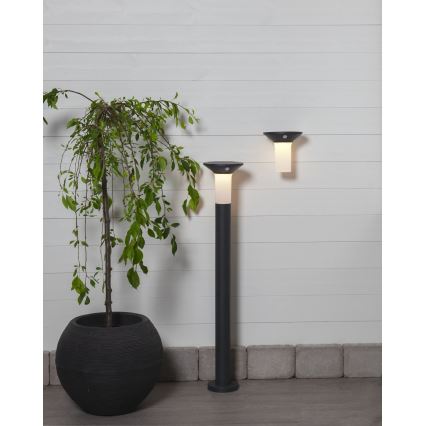 Eglo - Lampada solare da esterno a LED con sensore 6xLED/0,03W/3,7V IP44