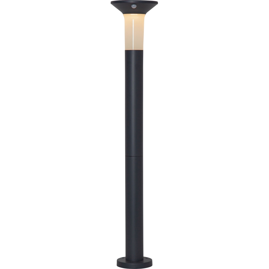 Eglo - Lampe solaire LED d'extérieur avec détecteur 6xLED/0,03W/3,7V IP44