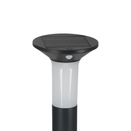 Eglo - Lampe solaire LED d'extérieur avec détecteur 6xLED/0,03W/3,7V IP44