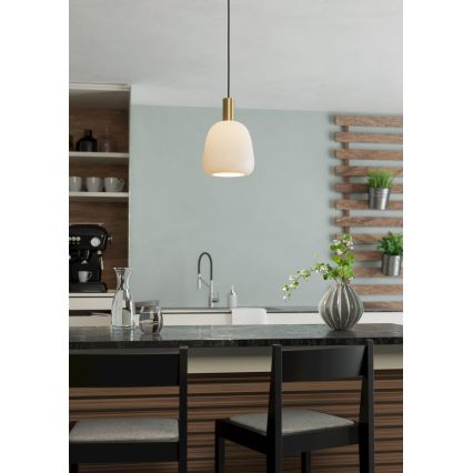 Eglo - Lampadario a sospensione con filo 1xE27/40W/230V