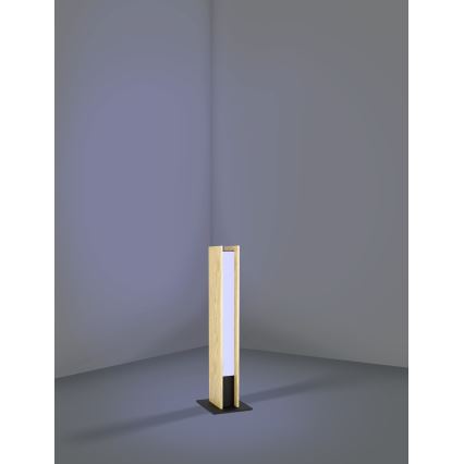 Eglo - Lampe de table RGBW à intensité variable LED/16W/230V 2700-6500K