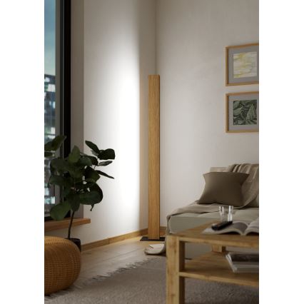Eglo - Lampadaire RGBW à intensité variable LED/35W/230V 2700-6500K