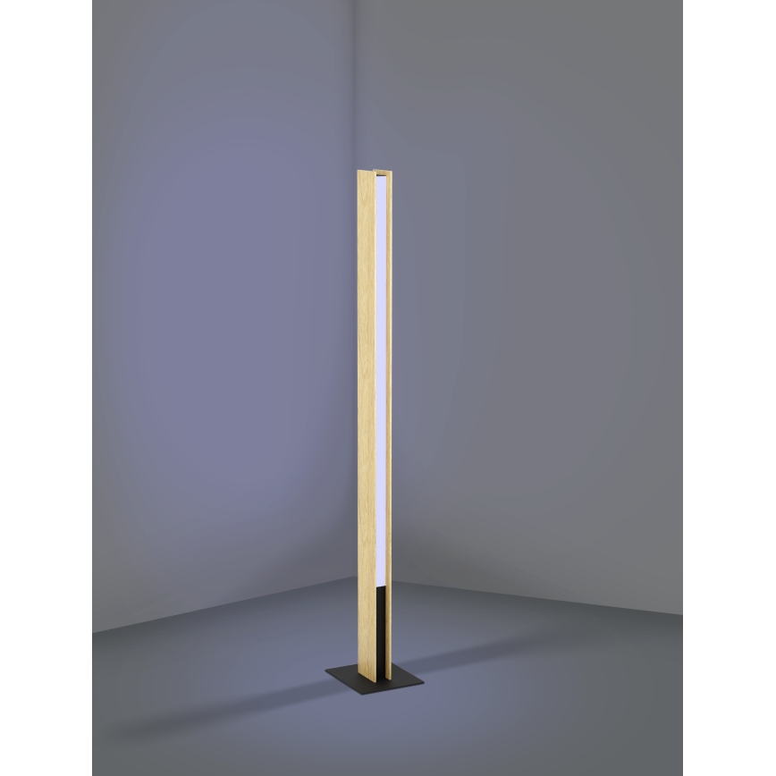 Eglo - Lampadaire RGBW à intensité variable LED/35W/230V 2700-6500K