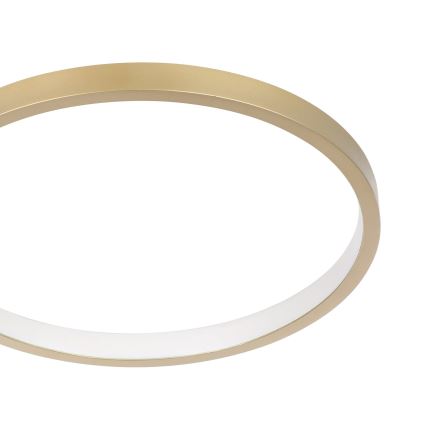 Eglo - Plafoniera LED Dimmerabile LED/15W/230V oro + telecomando