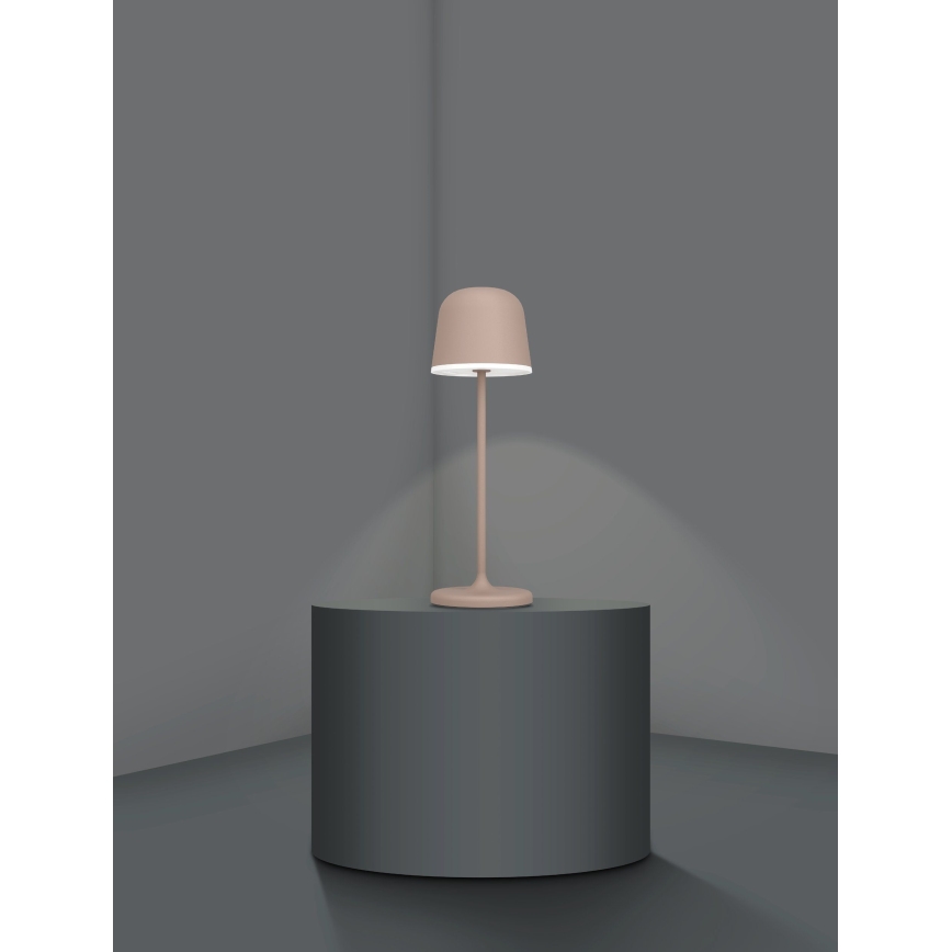 Eglo - LED à intensité variable extérieur rechargeable lampe LED/2,2W/5V 1800mAh marron IP54